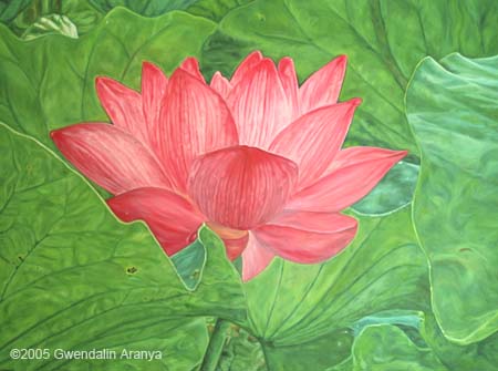 blooming lotus